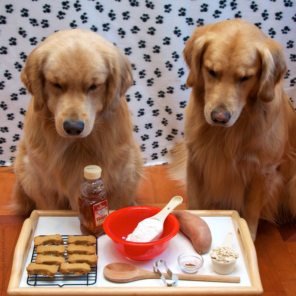 Cooking with Canines
