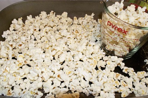 popcorn with maple syrup & salt 9