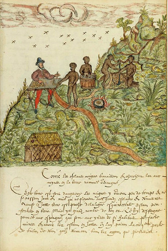 010-Histoire Naturelle des Indes- ca.1586-MA 3900- fol. 100-© The Morgan Library & Museum