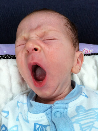 Biiiig yawn!