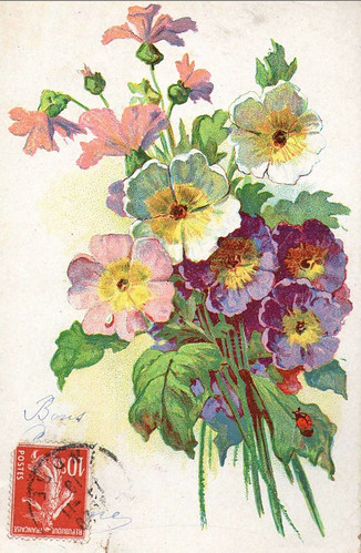 FloralPostCard