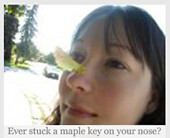silly mel with maple key (with caption)