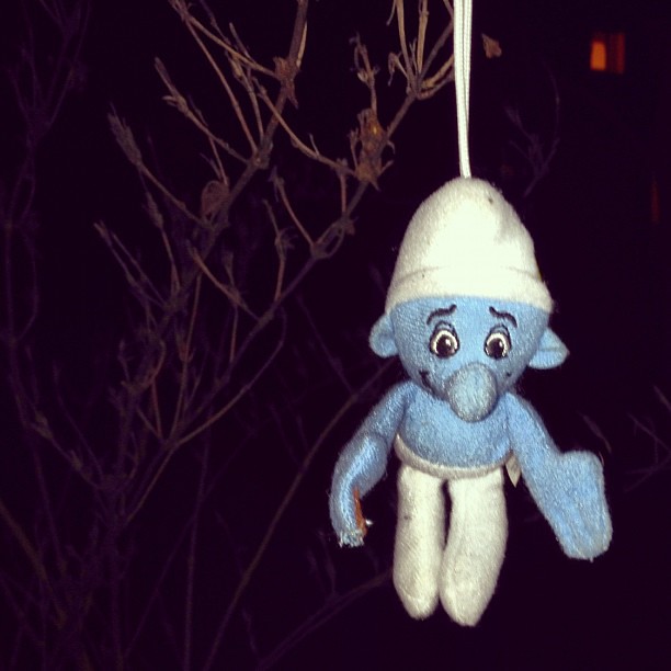 Smurf In Tree Observed During Emo Walk