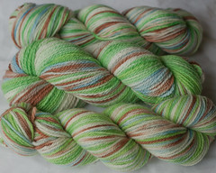 "Dogwood" on Purewool, Mountain Meadow, Beloved Superwash ( ...a time to dye)
