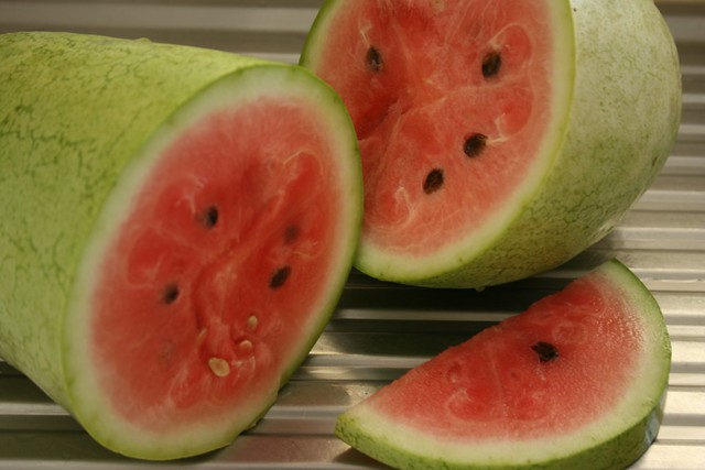 First watermelon