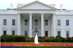 The White House Washington DC Spring 2014