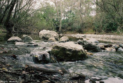 Alameda Creek