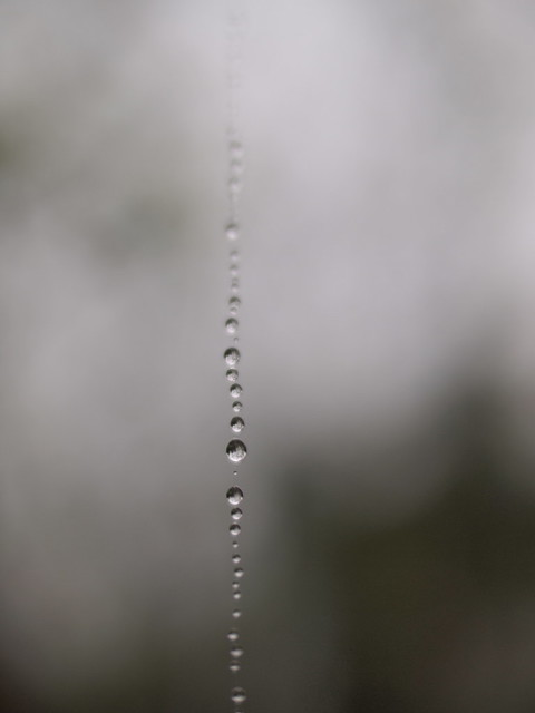 Droplets from the Sky