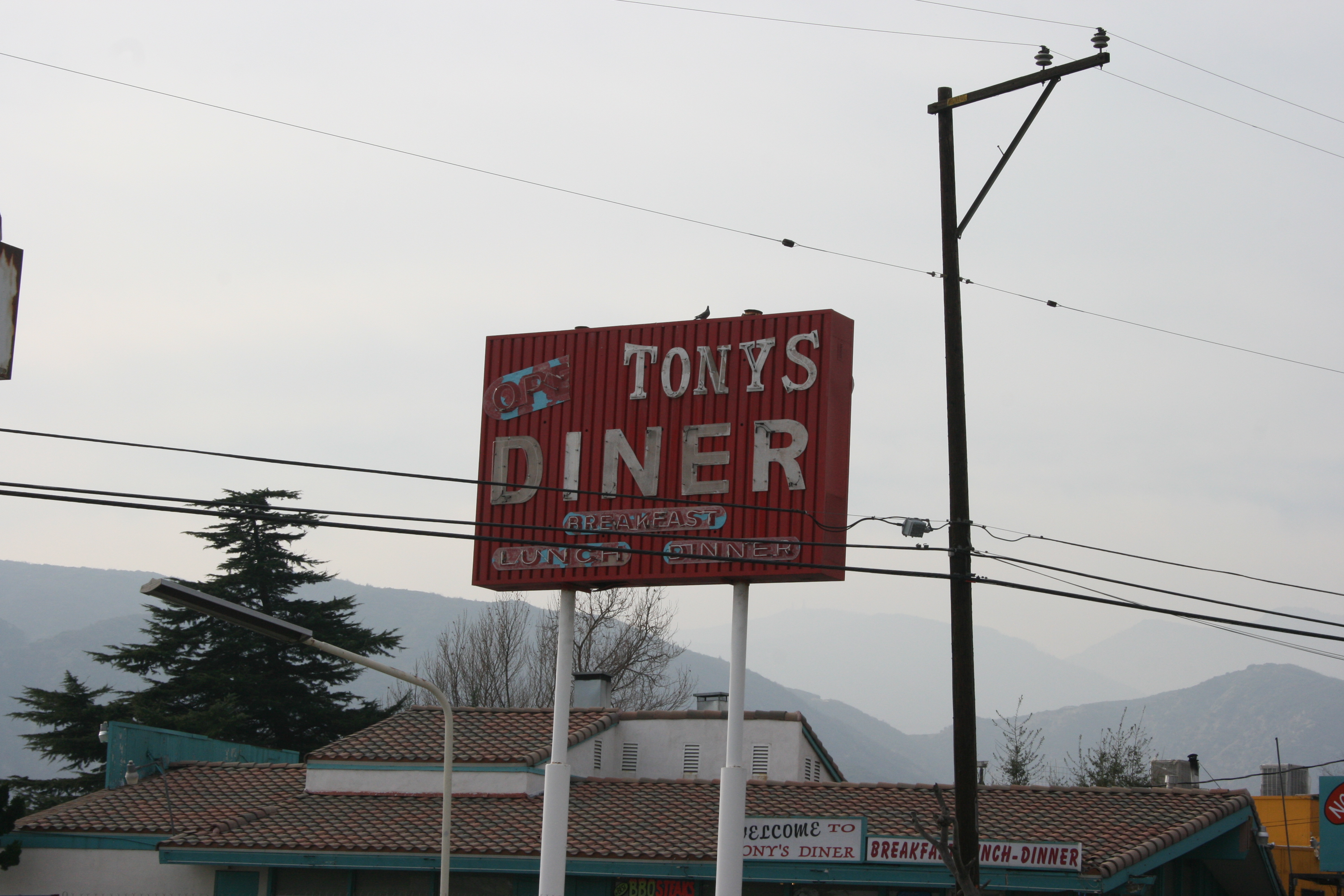 Tony's Diner