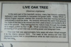 Live Oak Plaque