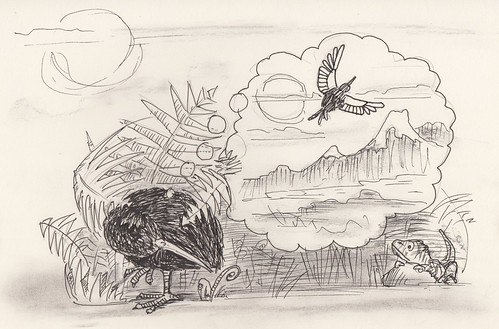 Drawing twenty-four : kiwi dreams