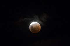 Blood Red Lunar Eclipse