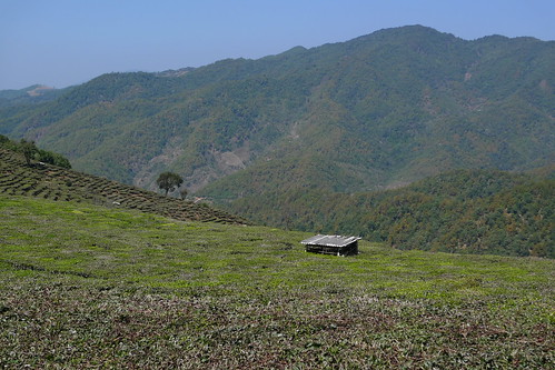 Tea Horse Trail - Mohei, Yunnan, China