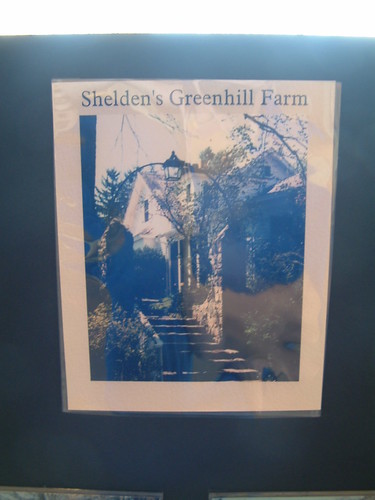 Shelden Estate. by Sunshine Gorilla