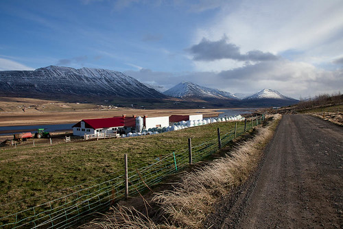 A beautiful afternoon in the country by Guðný Pálína