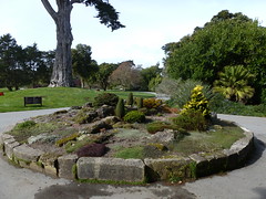 2012-02-29 - San Francisco Botanical Garden