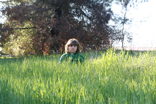 Lucas in Spring Grasses