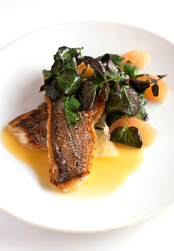 Yellowtail Snapper with Citrus Watercress Salad