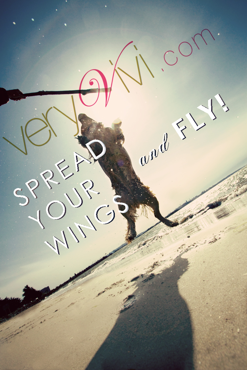 Spread Your Wings and Fly!