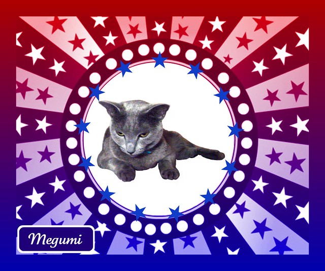 Megumi is being patriotic and celebrates President's Day!