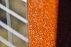 Rusty fence - Macro