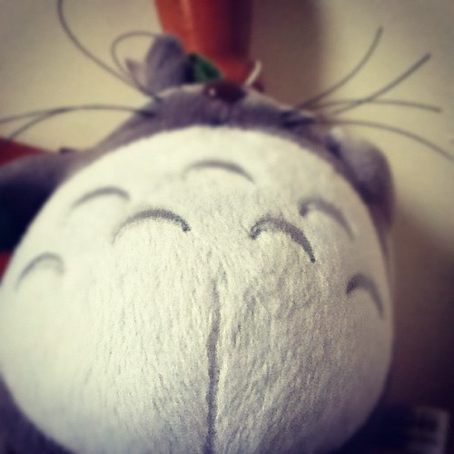 Totoro love