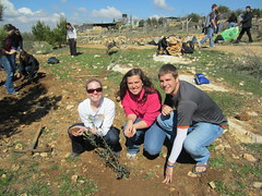 Laura Bowman, Hannah Tissue, and Mike Ferguson posing near a newly planted olive tree at the Tent of Nations