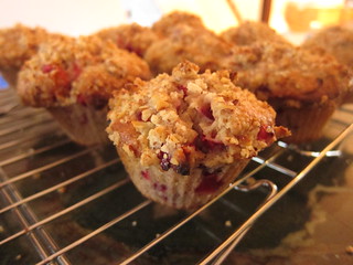 Cranberry-Pecan Muffins