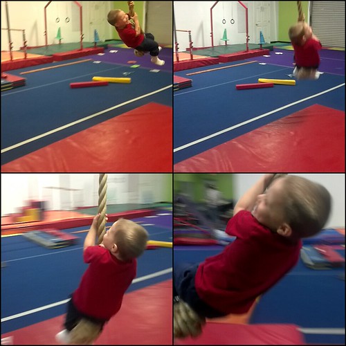 Billy Monkey at the tumbling gym