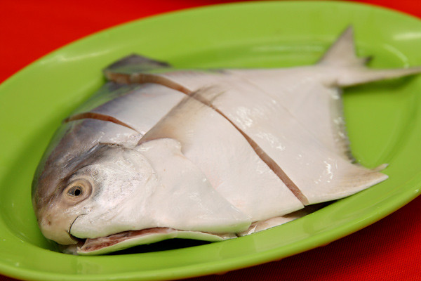 Fresh White Pomphret Fish