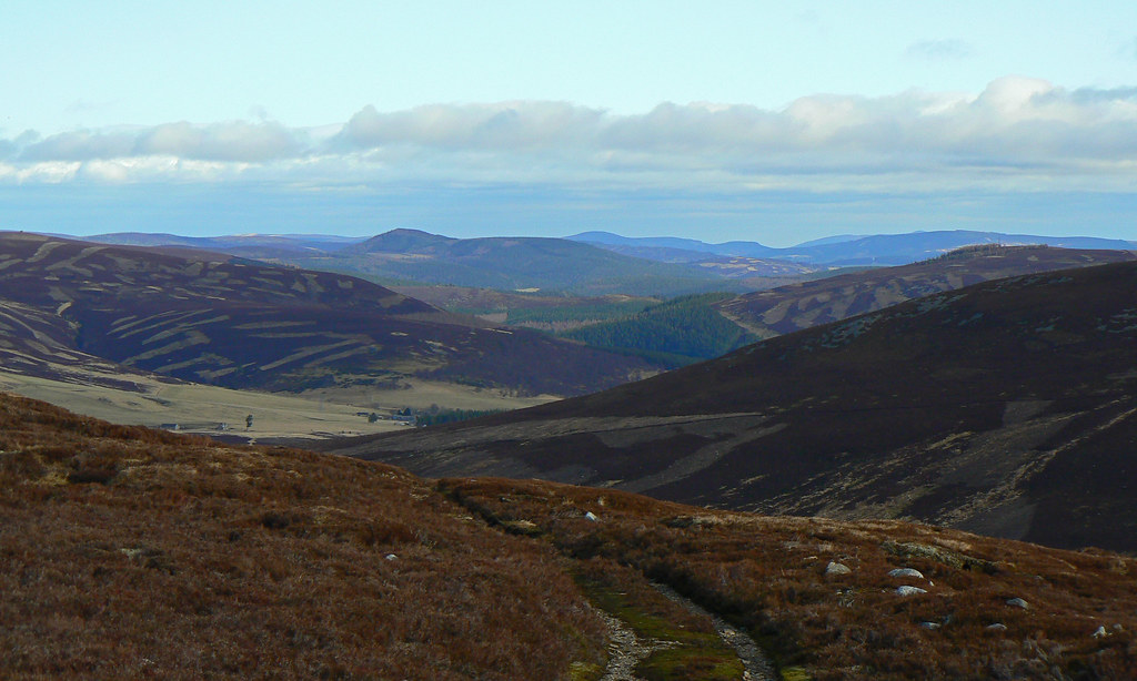 Looking down Strathdon