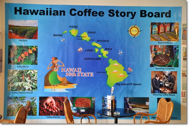 Hawaiian Coffee Story Board