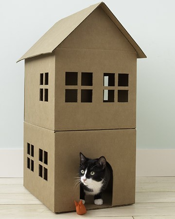 Картон и кошки cats&cardboard_008