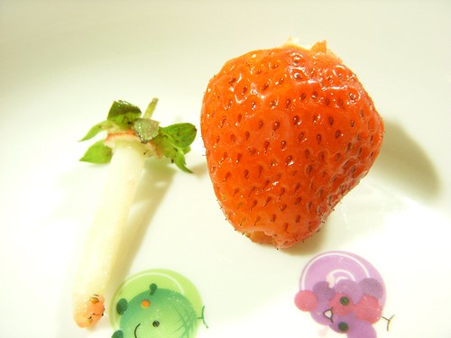 草莓09.JPG