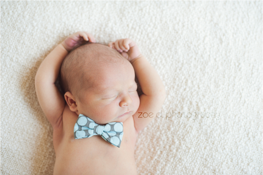 newborn baby picture in bowtie in dallas texas