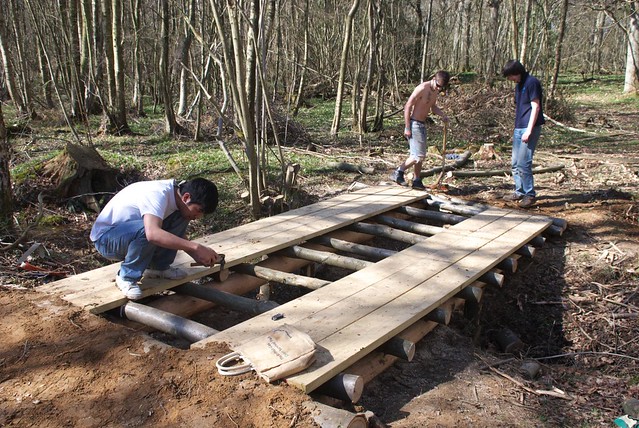 DSC_3746 Building a log bridge