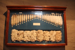 Wool museum