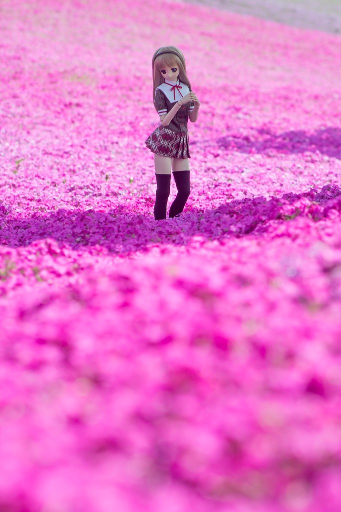 Pinkish Flower Garden