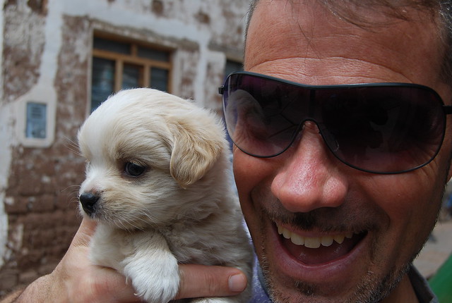 Viajando con Diego y su vida perra en Pisac