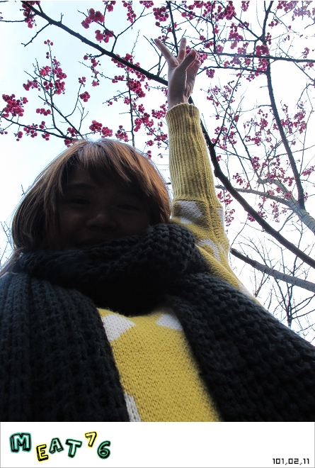 【遊記】陽明山國家公園｜櫻花乍現在粉紅意境的花花世界15