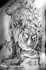 Starasian Tattoo Art - Val Tiger 2