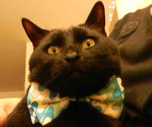 Does this bowtie make me look fat?