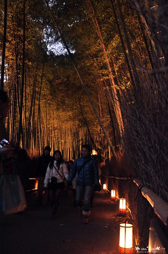 Arashiyama 嵐山 - 17