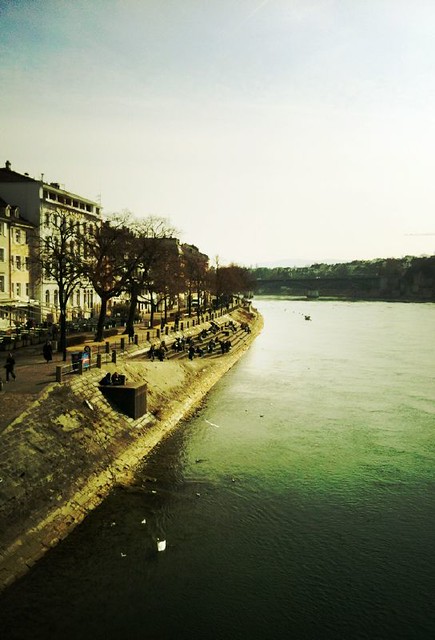 river side of Rhine