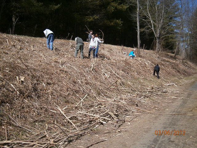 Holy Cross University Alternative Spring Break groups helps with trail clean-up at New RIver Trail STate Park
