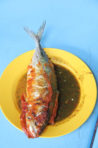 Malaysian Fish