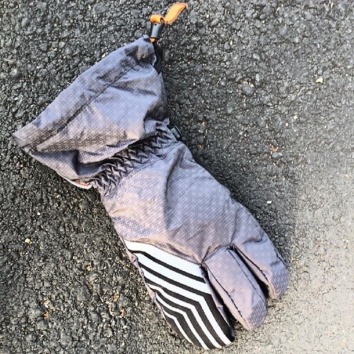 Winter glove found on Guadalupe River Trail this morning.   It's a long way to Tahoe.