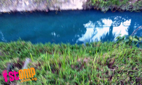 S'pore getting more polluted? Discharge turns Mountbatten drain bright blue 