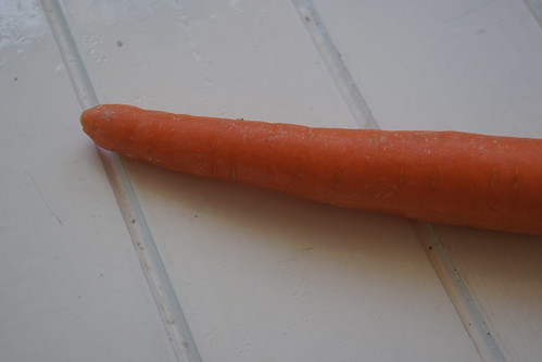 Lunch Box Ideas - Carrot