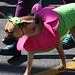 The Mardi Gras (Krewe of Janus) Pet Parade